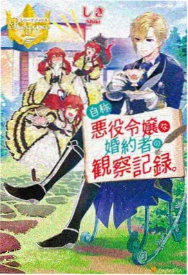 蜘蛛侠：纵横宇宙